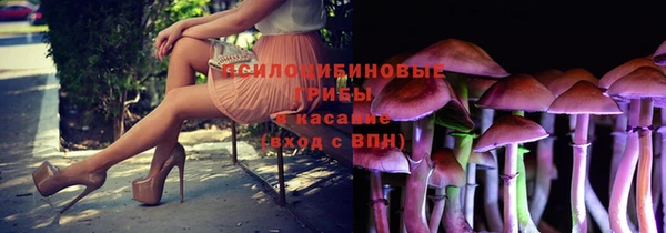 гидропоника Богородицк