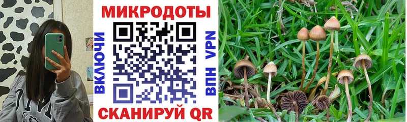 Галлюциногенные грибы Cubensis наркошоп Вятские Поляны