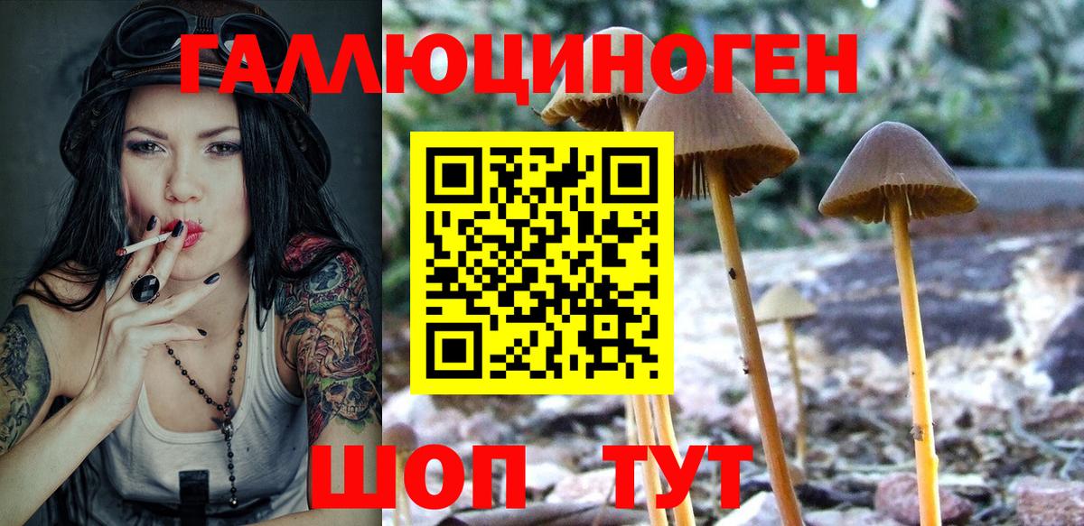 Вятские Поляны  Галлюциногенные грибы Cubensis  даркнет сайт  Вход с VPN  Галлюциногенные грибы Psilocybe 